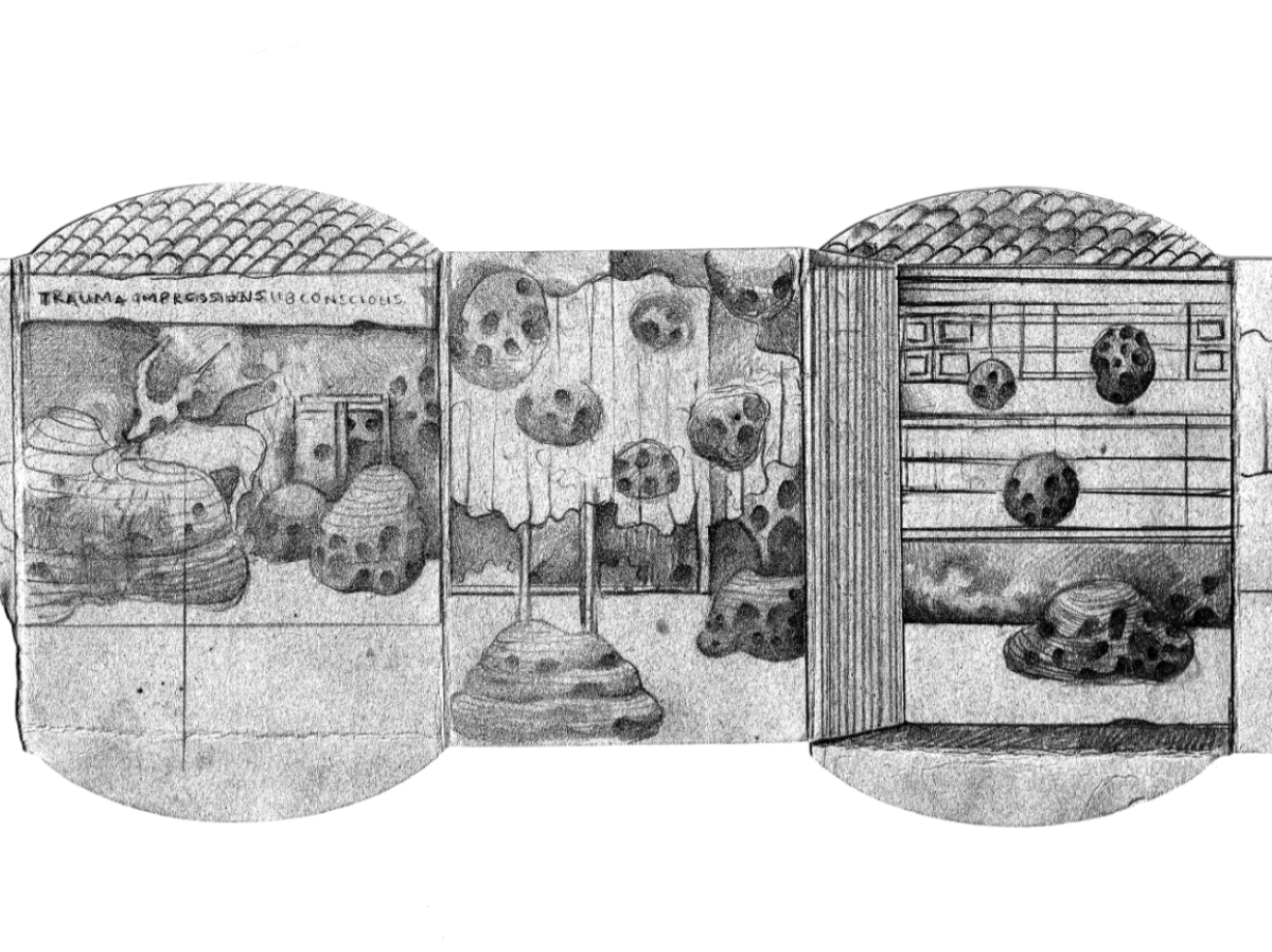 Tafoni: Tracing time & weather